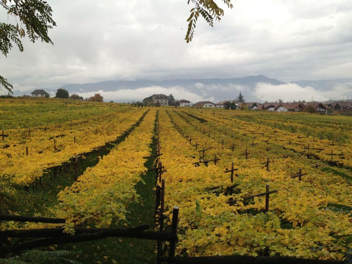 Ansitz Jenner Apartment Appiano Sulla Strada Del Vino Ngoại thất bức ảnh